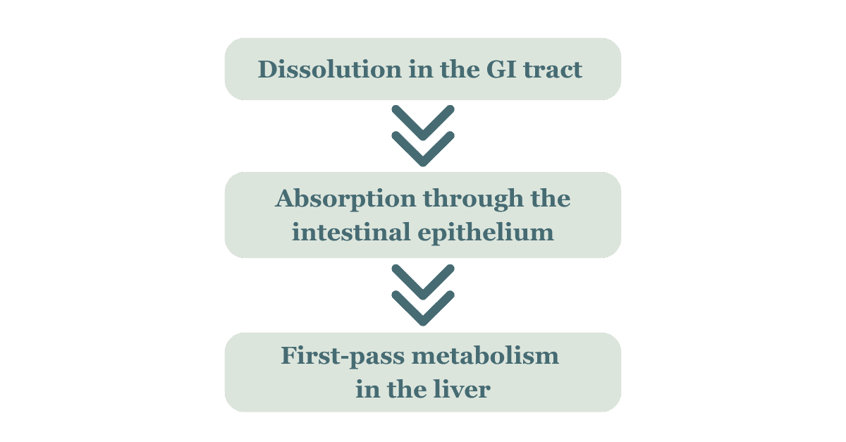 Infographic detailing the absorption pathway - 1) dissolution in the GI tract 2) Absorption through the intestinal epithelium 3) First-pass metabolism in the liver
