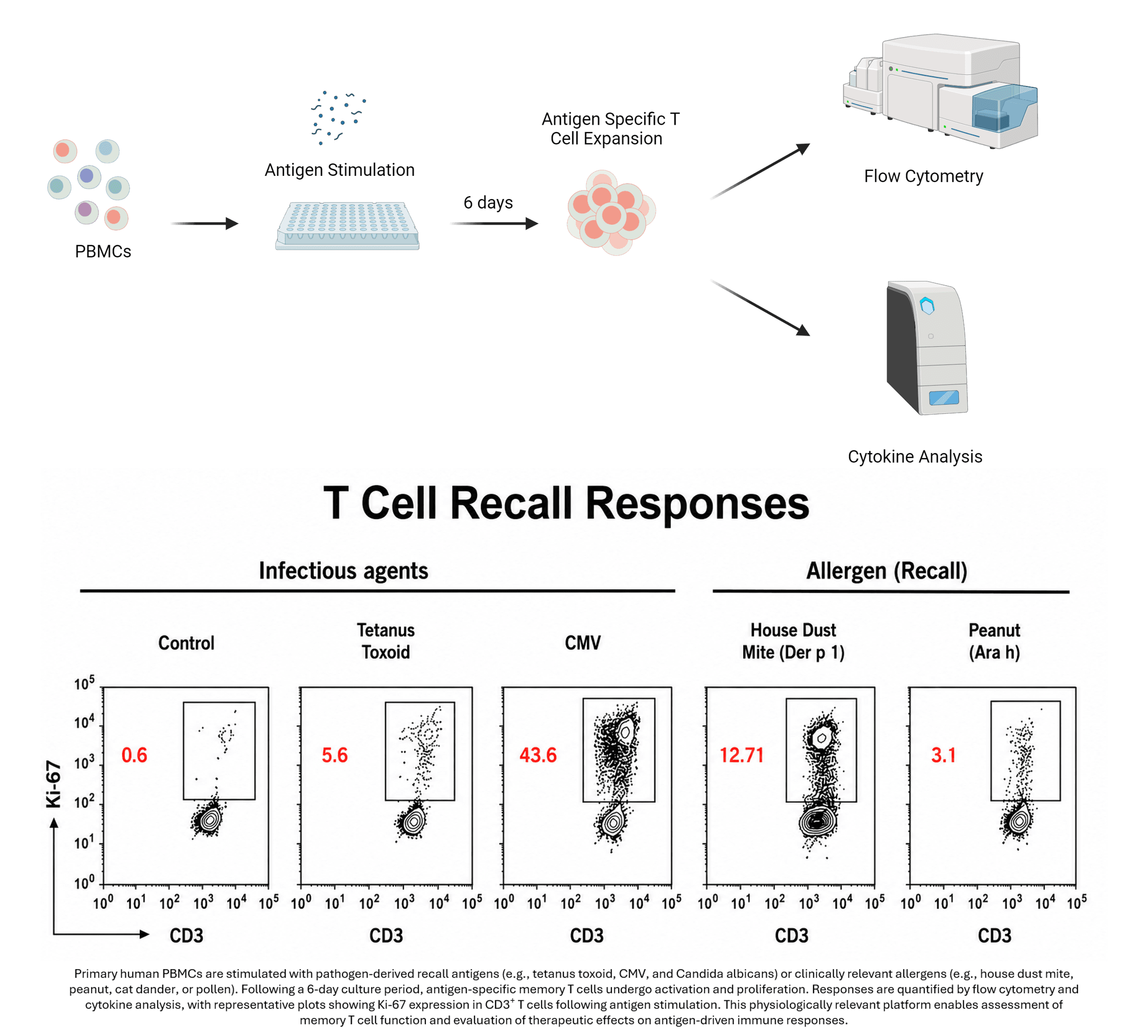 Allergen recall assays RoukenBio Allergy assays data.png