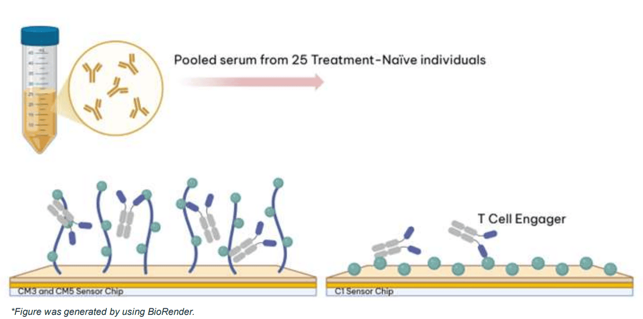Anti-drug antibody (ADA) assay format.png