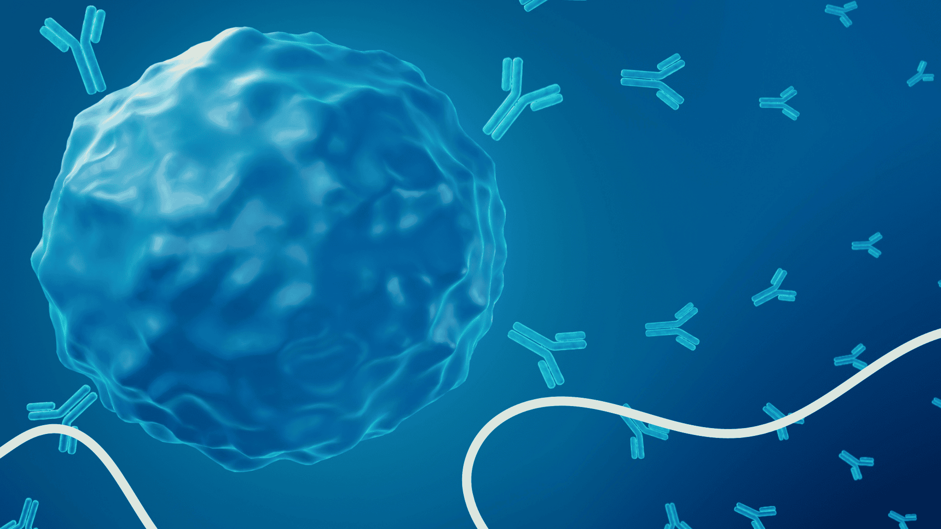 B cell assay