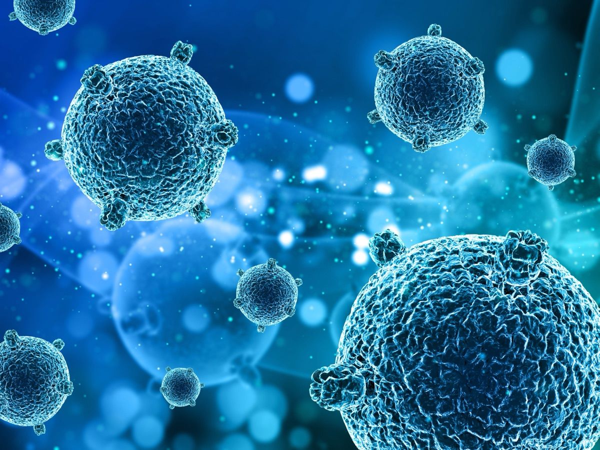 Bespoke Cell Engineering