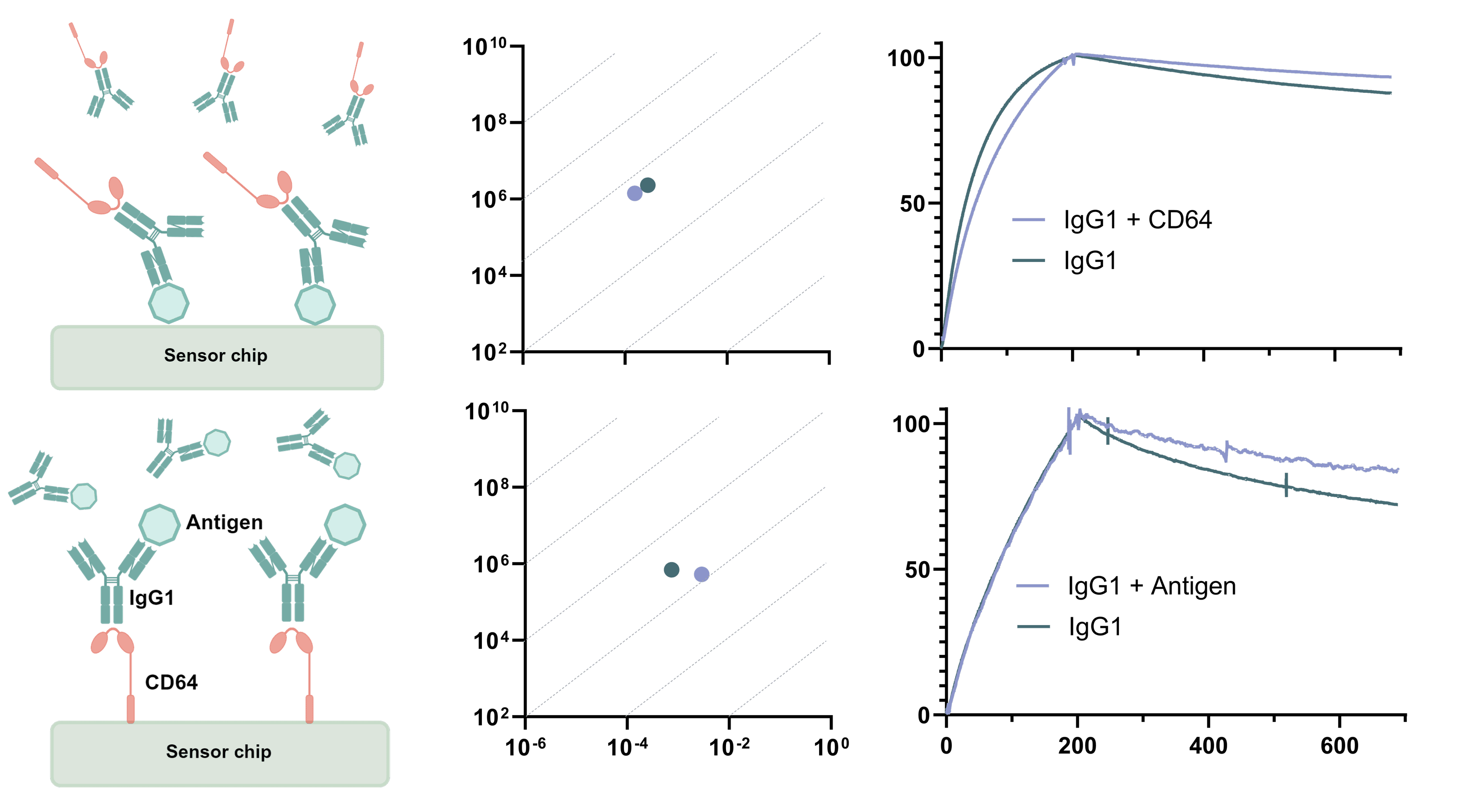 Binding Dependence.png