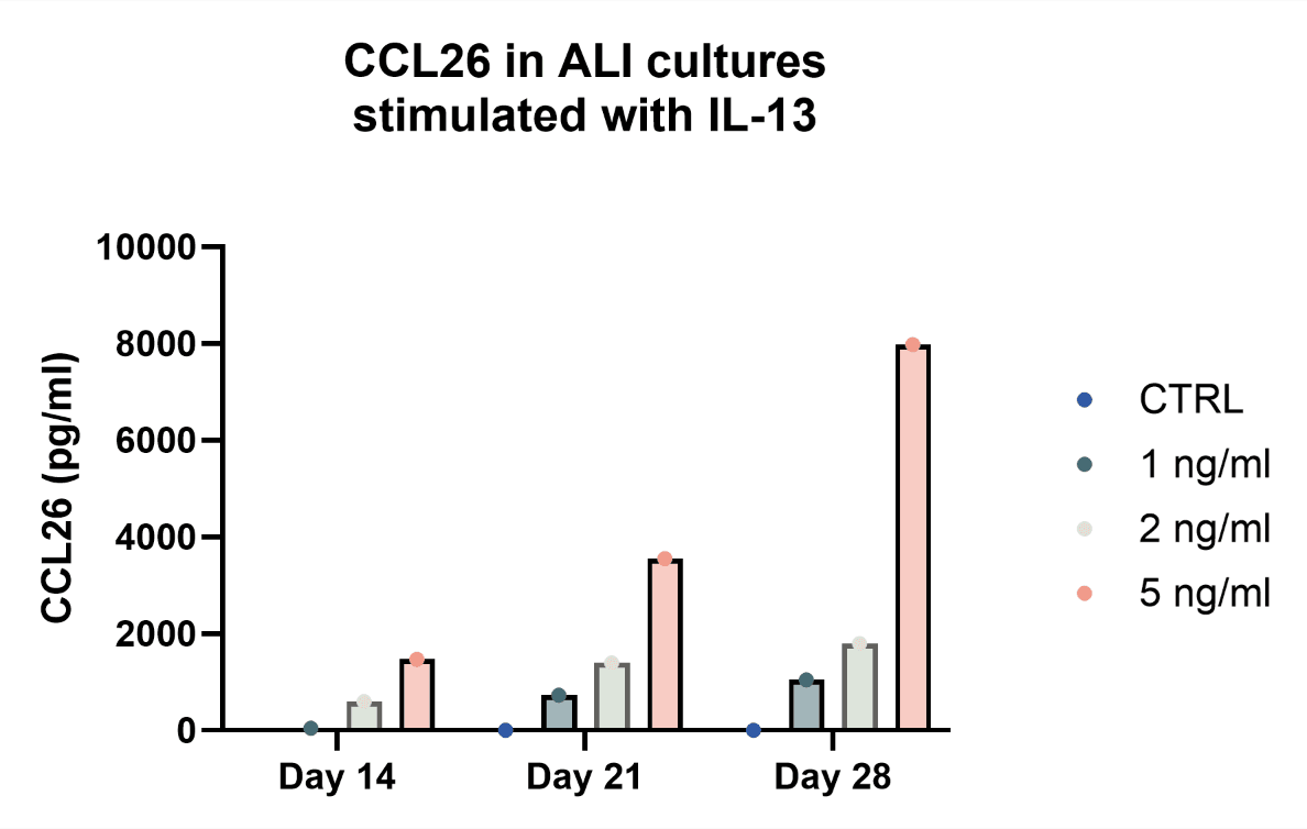 Biomarker Analysis with a human-relevant ALI model for asthma drug discovery.png