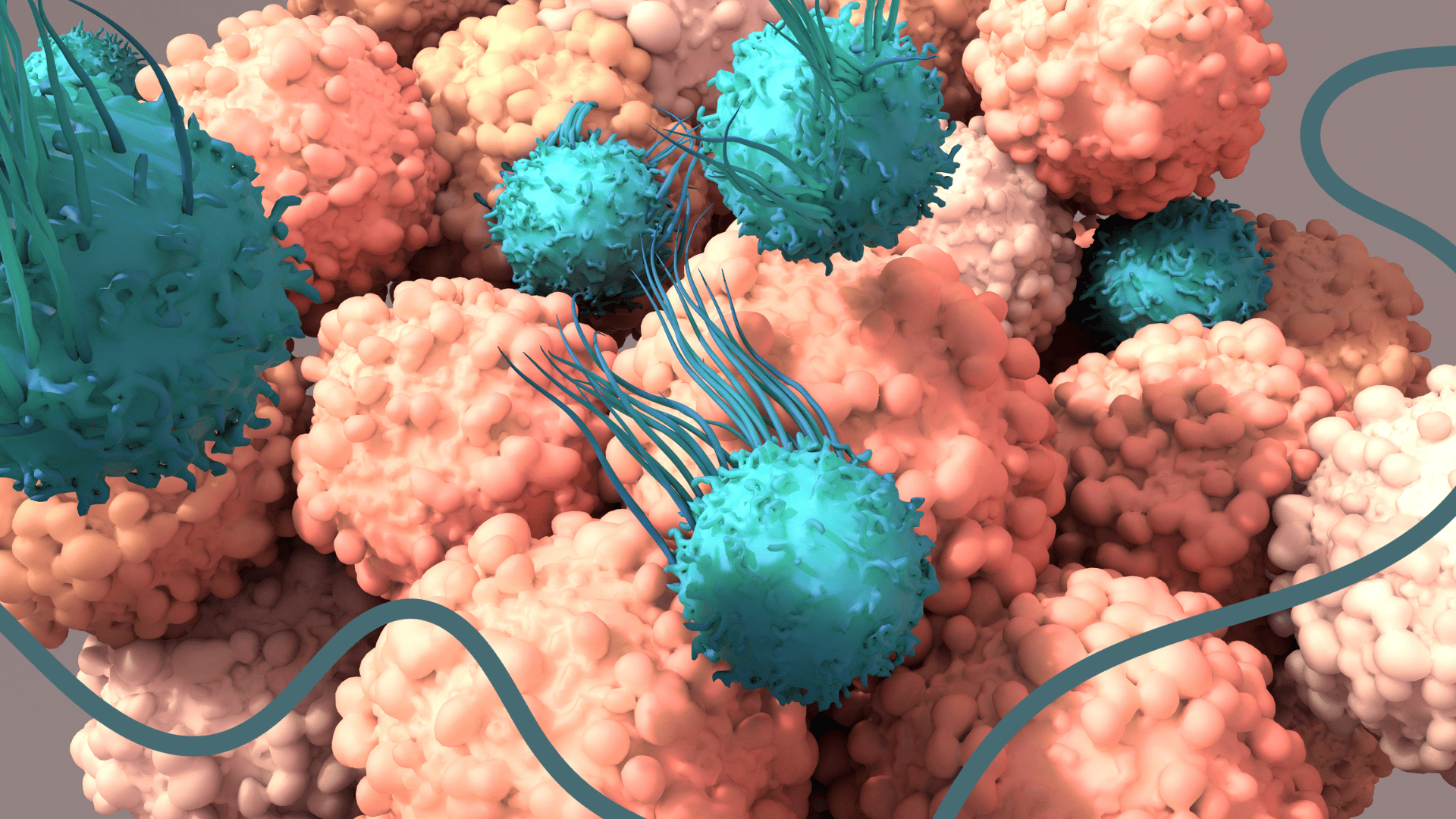 CAR-T Cells RoukenBio