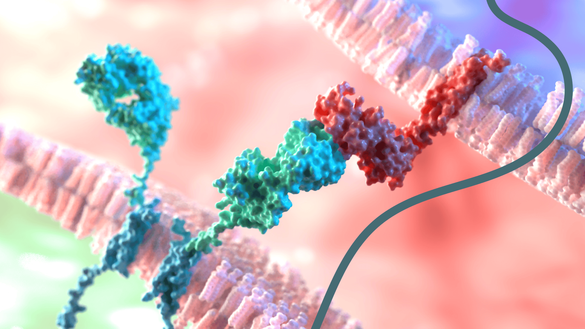 CAR T cell therapy, Chimeric Antigen Receptor (CAR) structure, RoukenBio.png