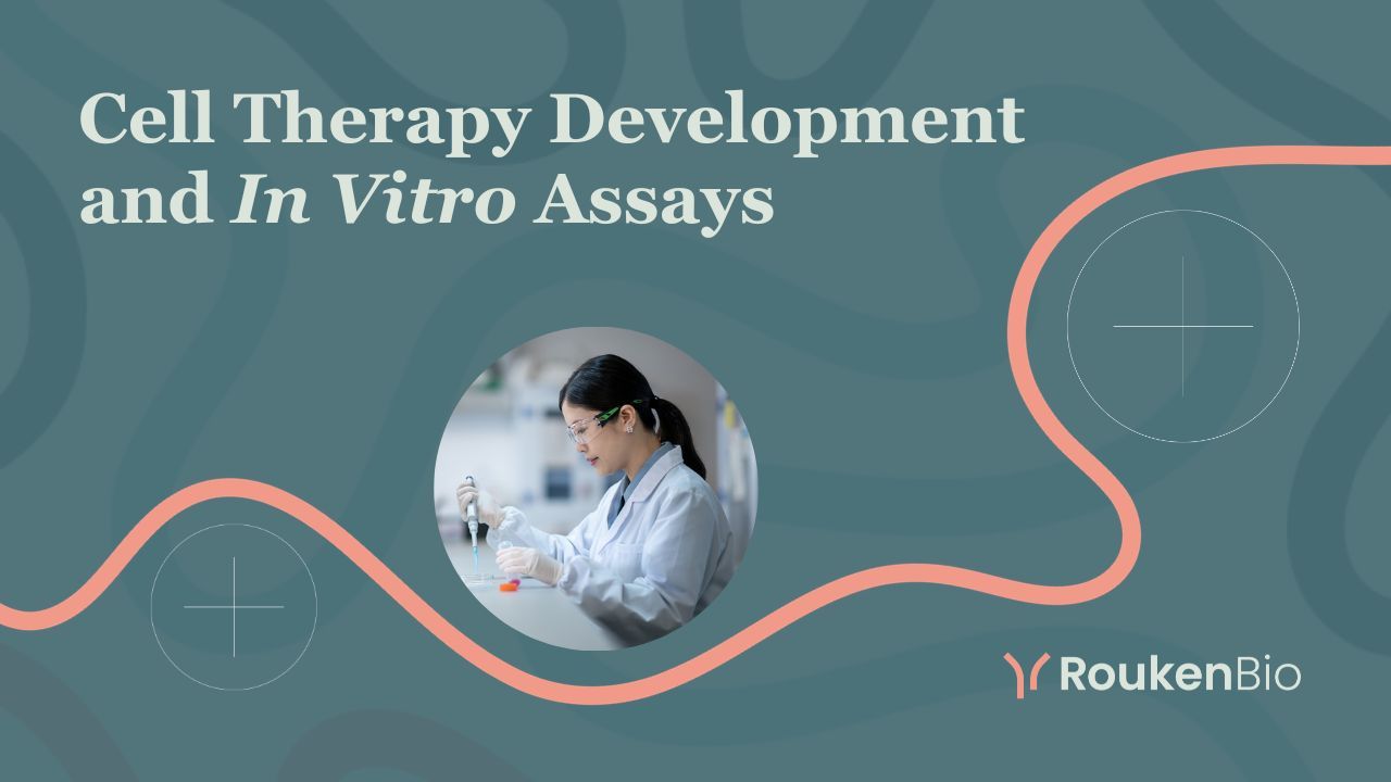 Cell Therapy Development and In Vitro Assays | RoukenBio