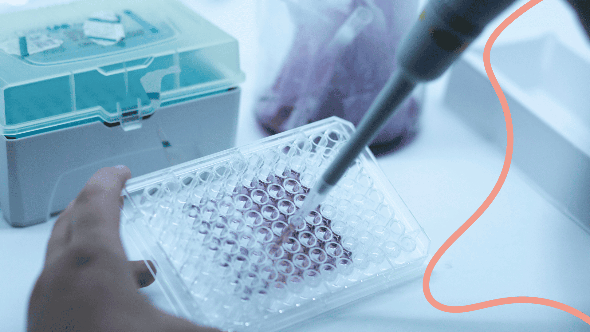 Cells as Substrates for Potency Assays A Critical Tool in Biopharmaceutical Development 1.png