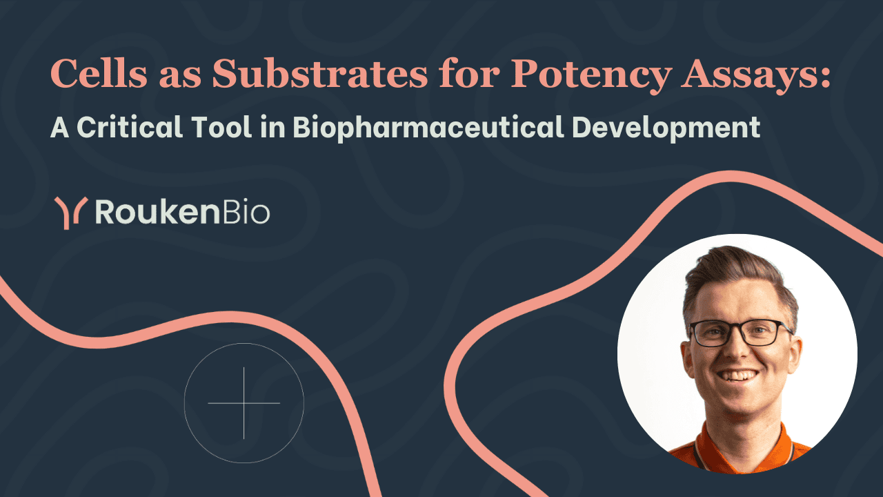 Cells as substrates for potency assays A critical tool in Biopharmaceutical development.png