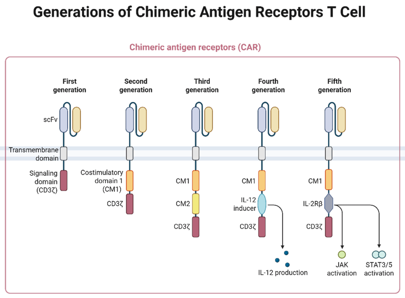 Generations of CAR T cell RoukenBio.png