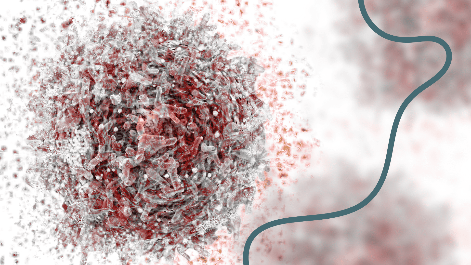 Immunooncology research might not always apply to autoimmunity.png