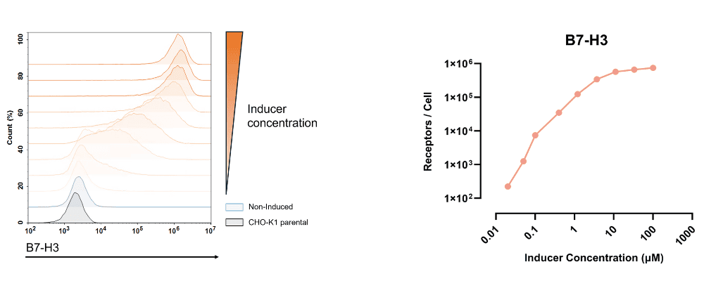 IndEx-2 cell line - B7-H3 histogram and quantification of induction graph RoukenBio.png