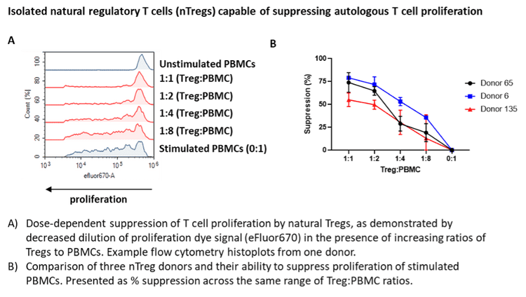 Isolated natural regulatory T cells capable of supporting autologous T cell proliferation