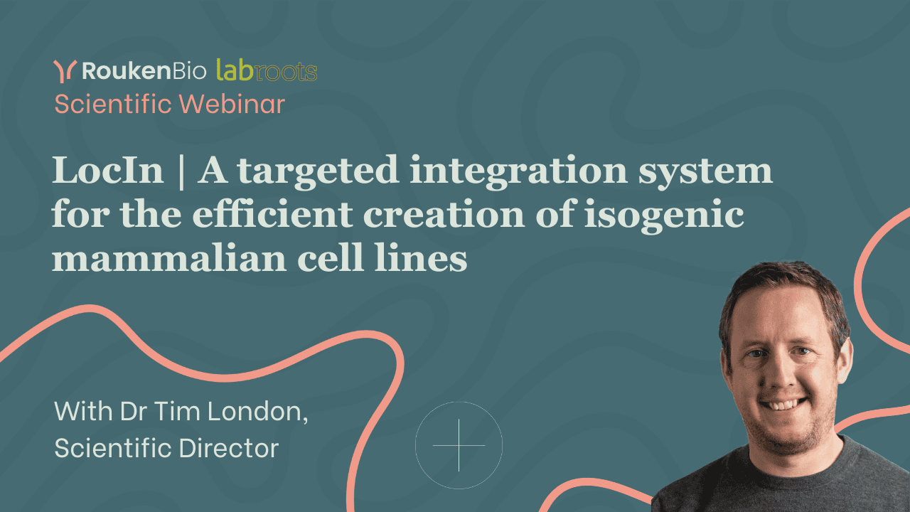 LocIn A targeted integration system for the efficient creation of isogenic mammalian cell lines.png