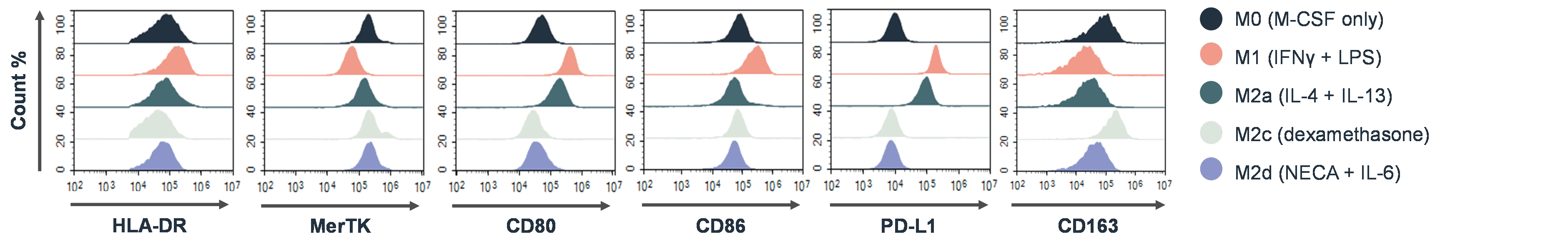Macrophage Polarisation Assay Data Autoimmunity RoukenBio Immunology CRO redefined - final.png