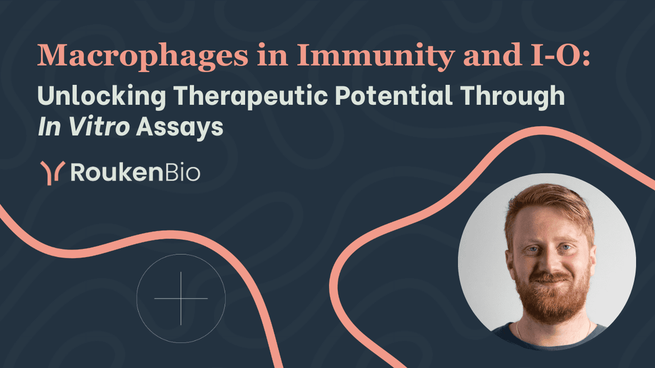 Macrophages in Immunity and Immuno-Oncology Unlocking Therapeutic Potential Through <i>In Vitro</i> Assays RoukenBio.png