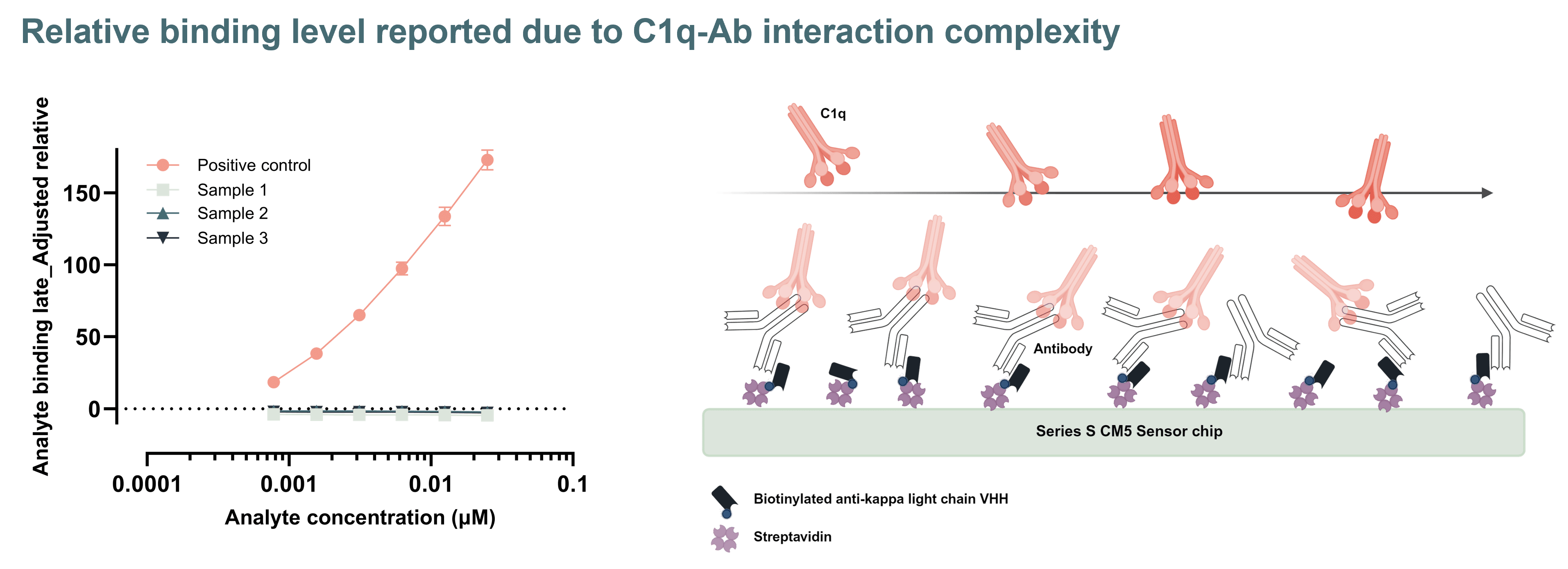 Relative binding level reported due to C1q-Ab interaction complexity - RoukenBio.png