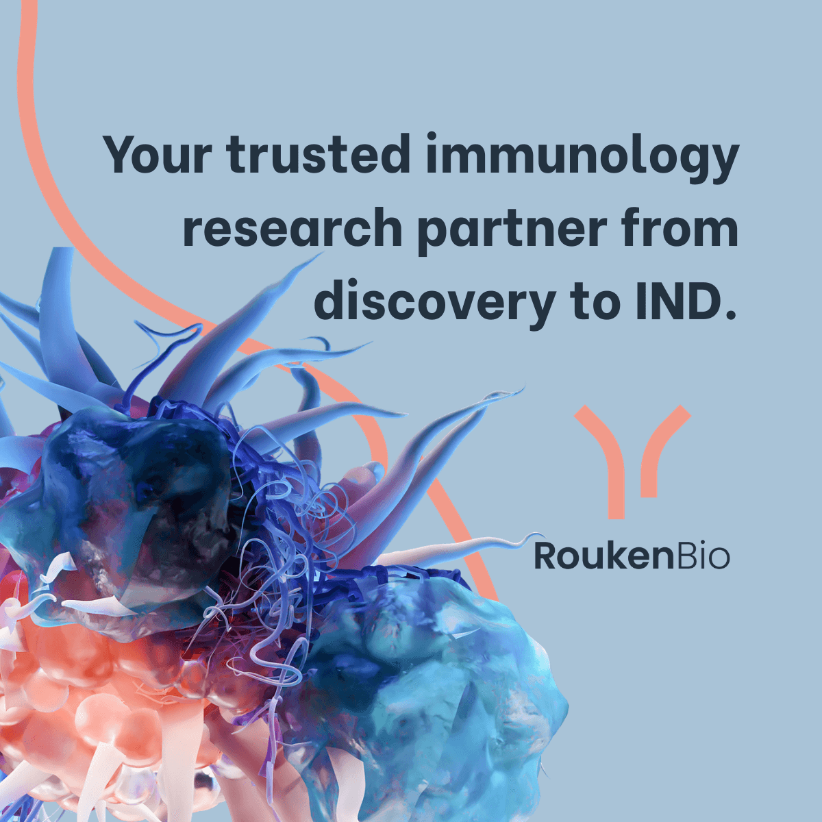 RoukenBio - Your Trusted Immunology research partner from discovery to IND