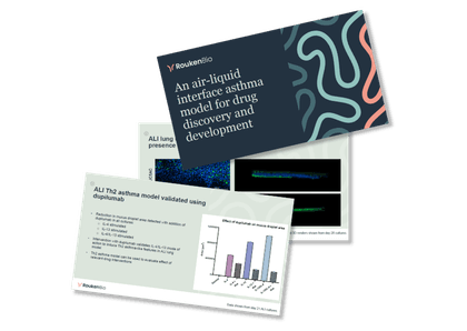 RoukenBio An Air-Liquid Interface Asthma Model for Drug Discovery and Development.png