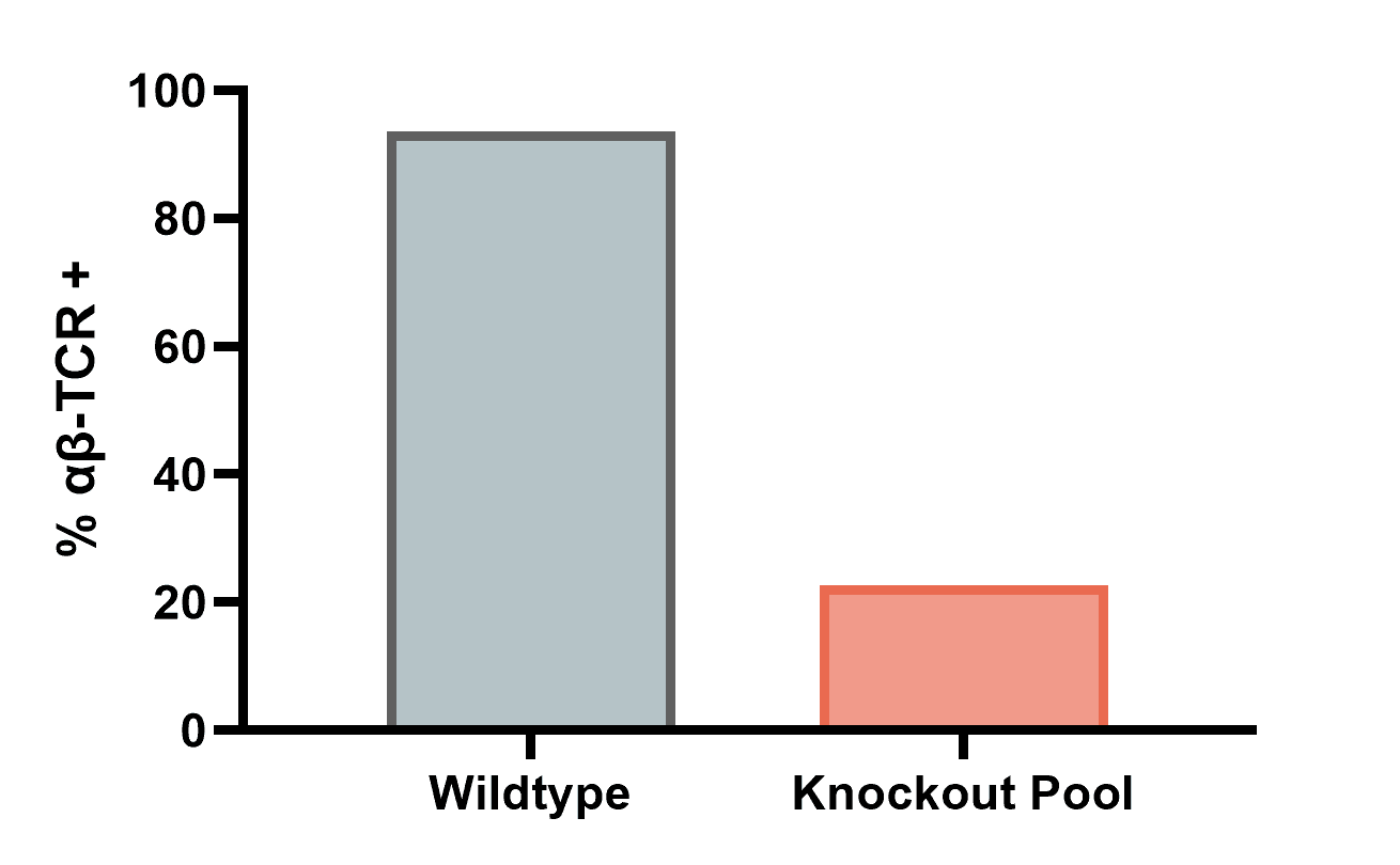 RoukenBio Bar chart illustrating the drop in abTCR expression in the Jurkat KO Pool compared to WT.png