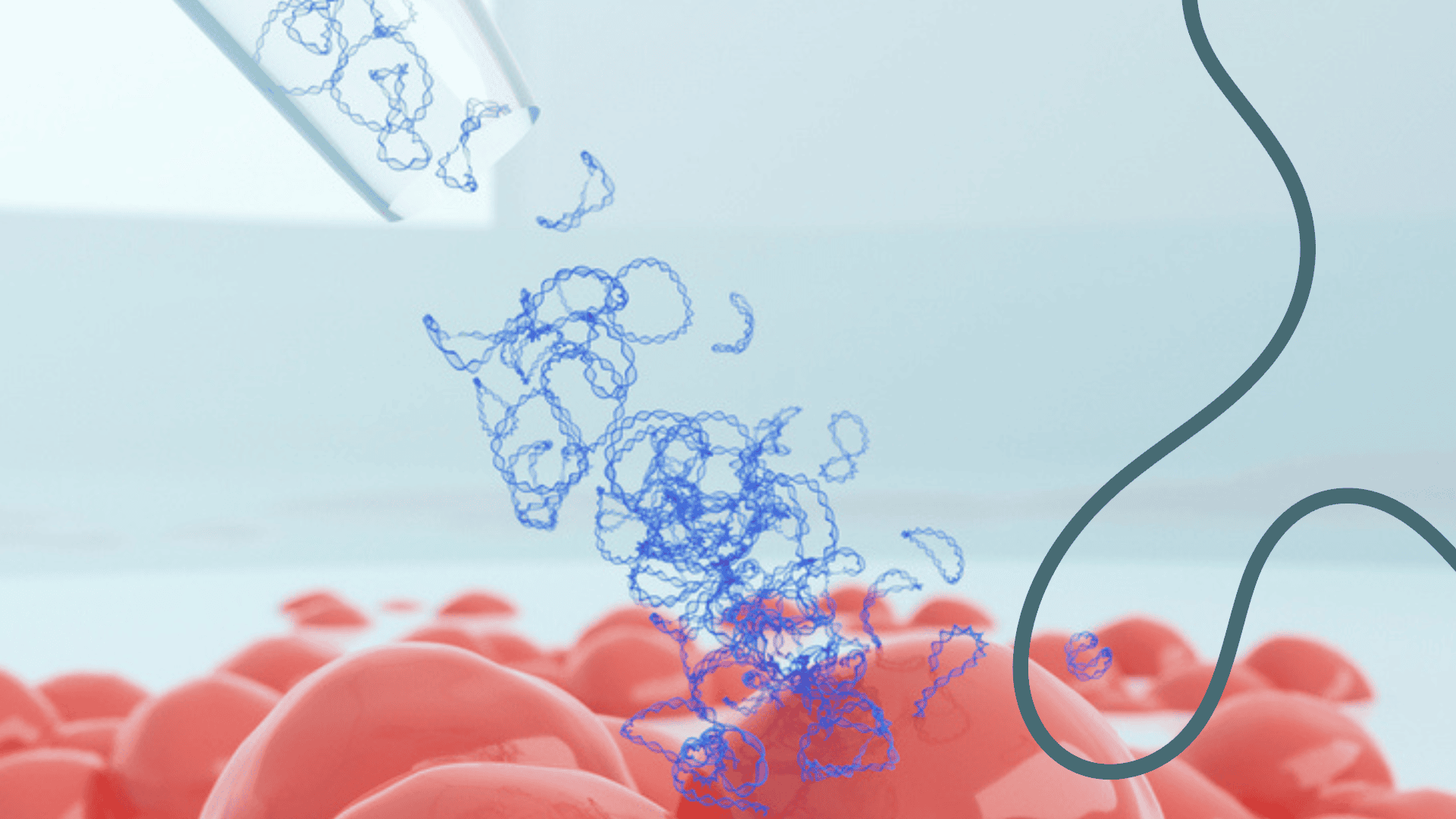 RoukenBio - Cell engineering - Cell transfection.png
