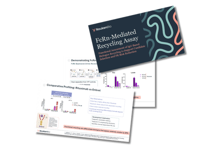 RoukenBio - FcRn-Mediated Recycling Assay download label.png