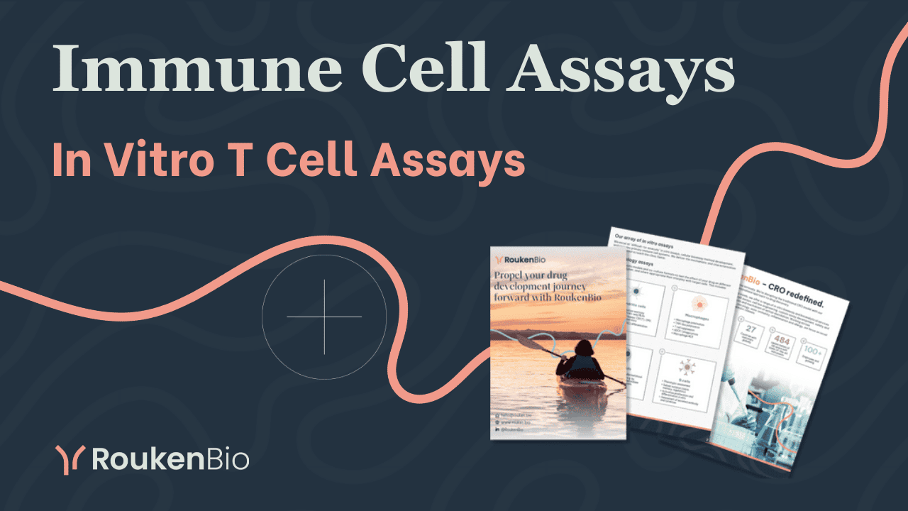 T Cell Directed Cytotoxicity & T Cell Activation Assays