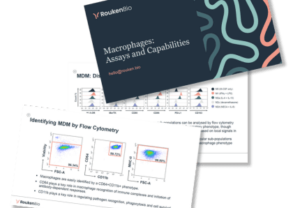 RoukenBio - Macrophage assays and capabilities.png