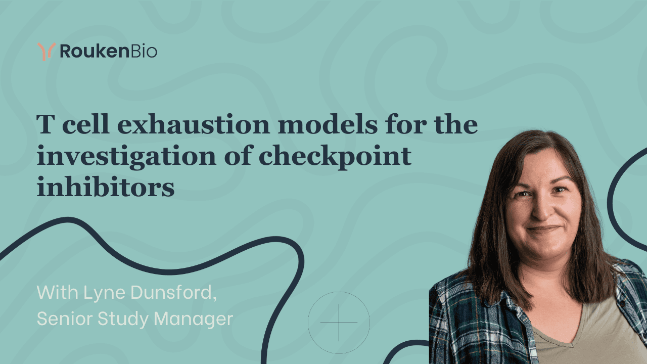 RoukenBio - T cell exhaustion models for the investigation of checkpoint inhibitors.png