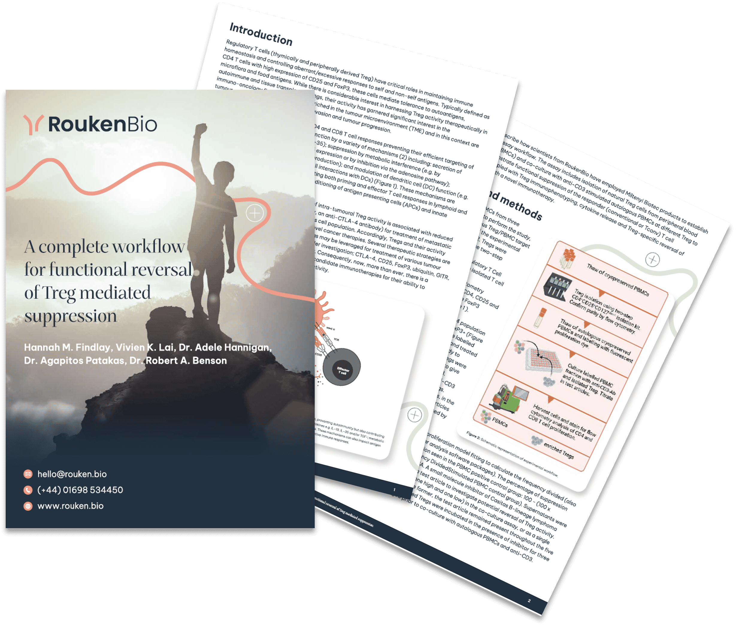 RoukenBio - Treg-mediated T cell suppression workflow whitepaper.png