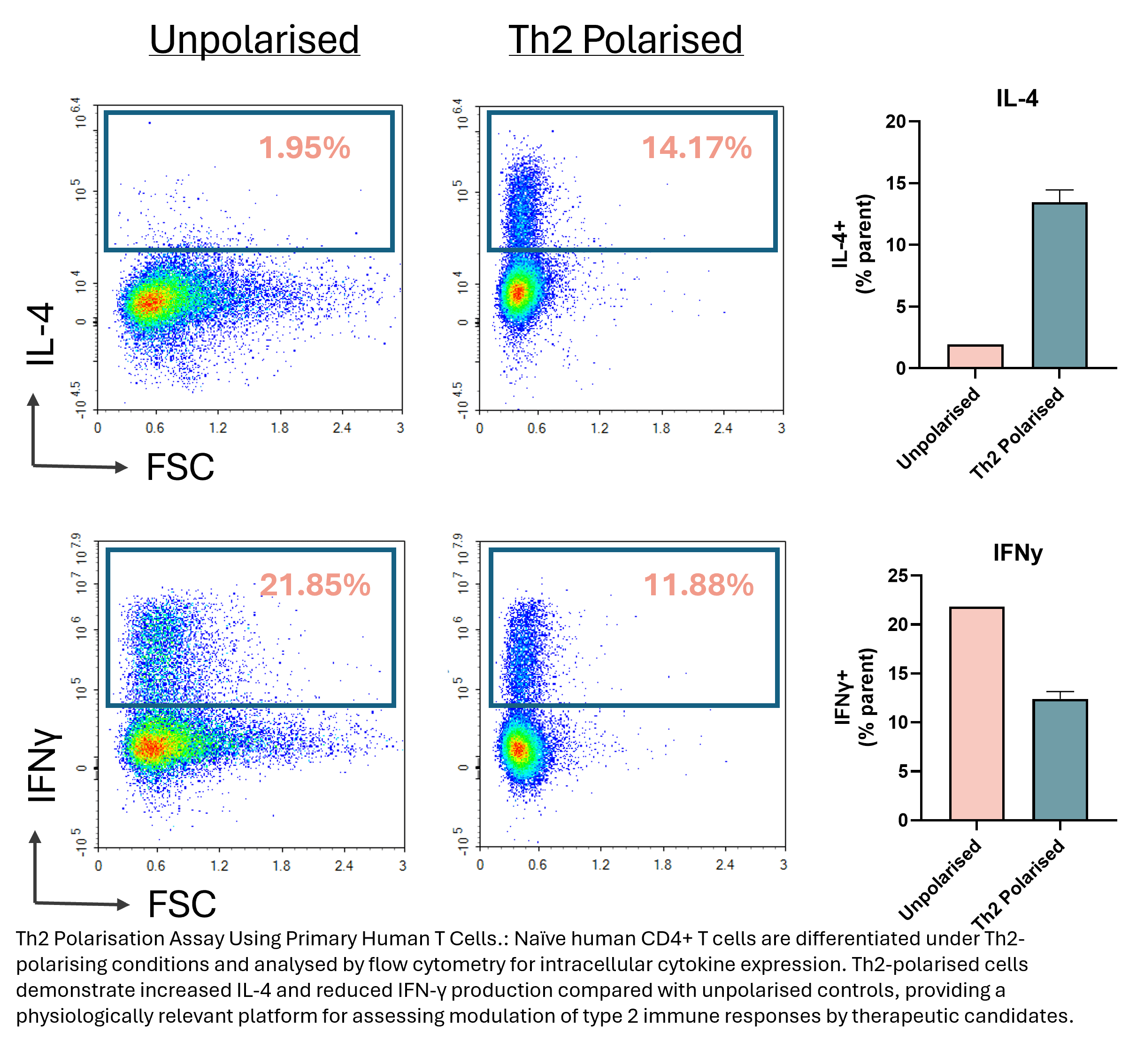 TH2 cell data RoukenBio Allergy assays.png