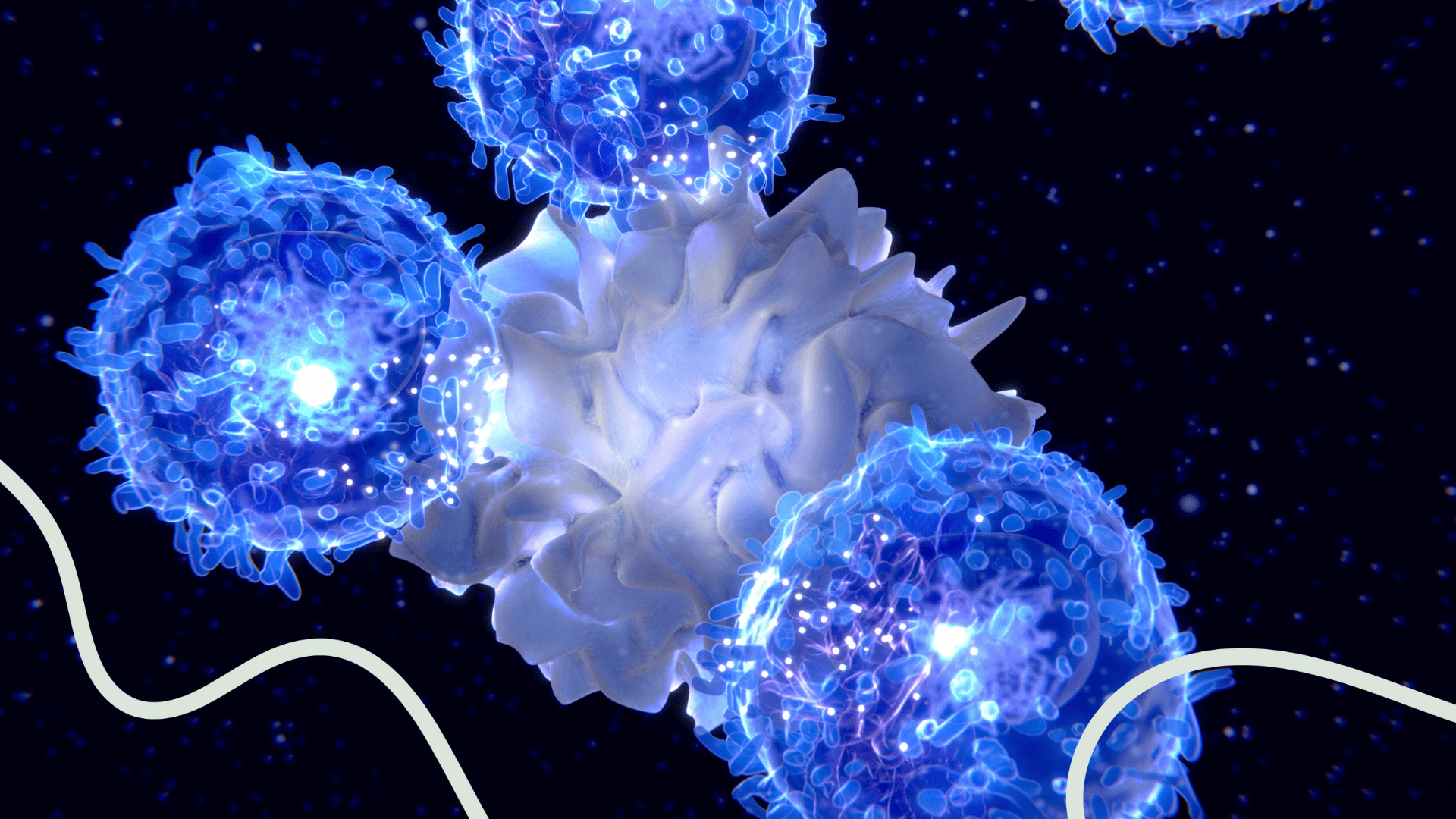 T cell assays