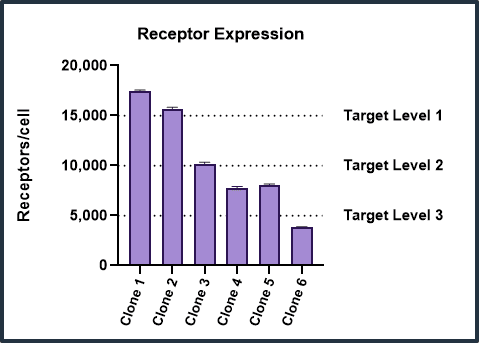 Target Levels.png