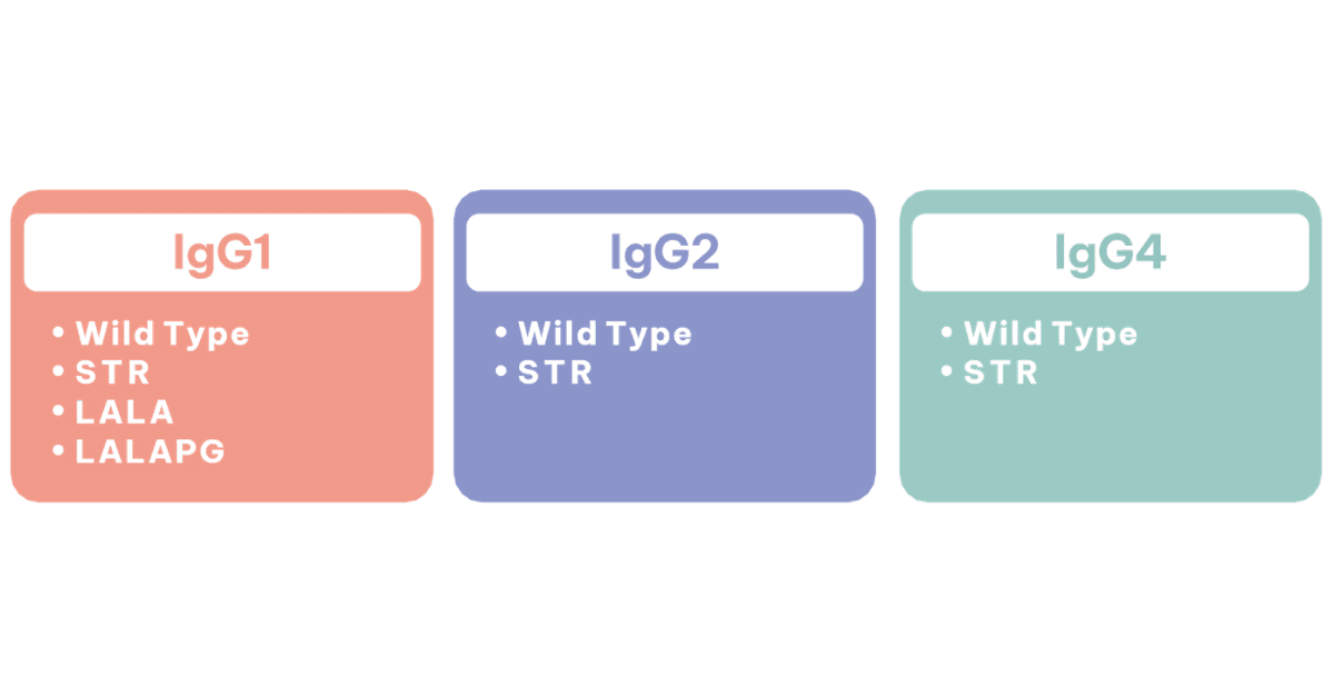 Untitled design (9).png