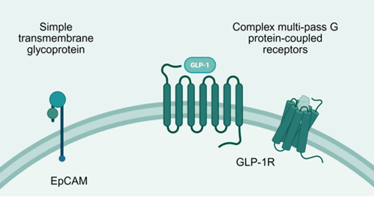 complex multi-pass transmembrane payloads 1.png