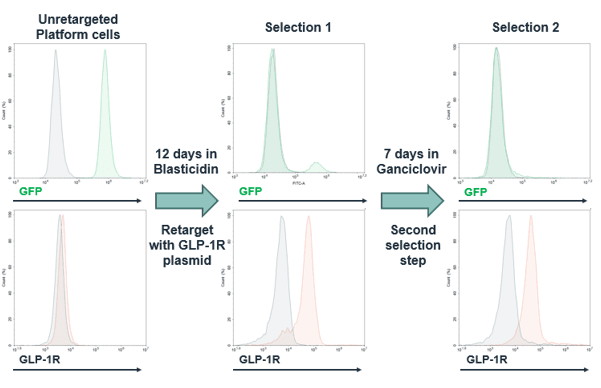 complex multi-pass transmembrane payloads 2.png