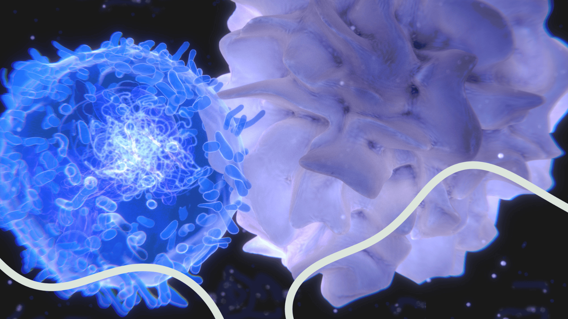 dendritic cell assay 