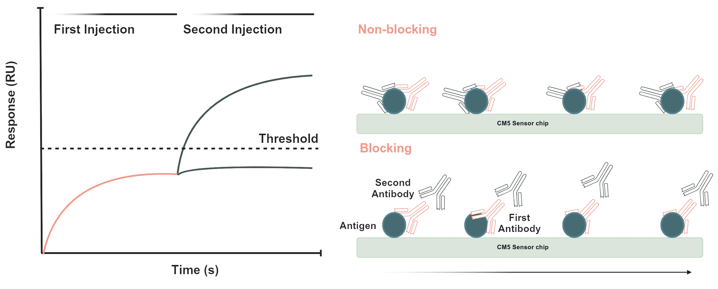 epitope binning.png