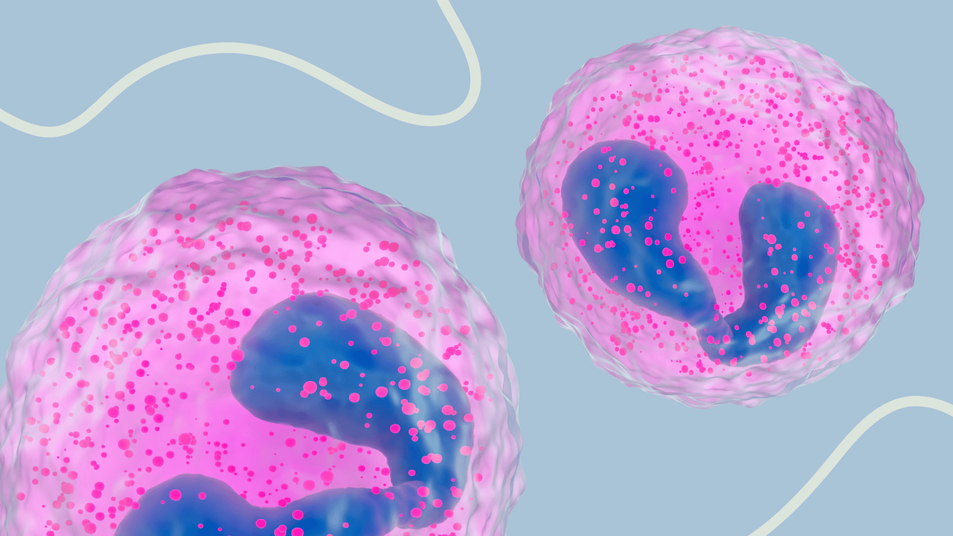 granulocyte assays