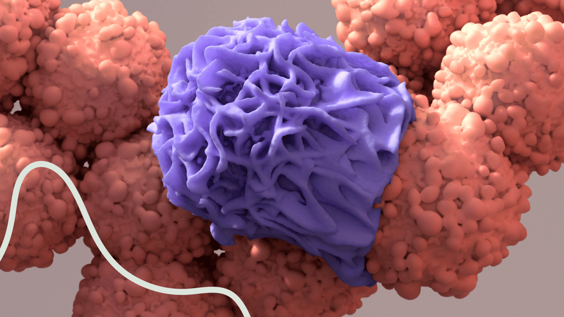 macrophage assay