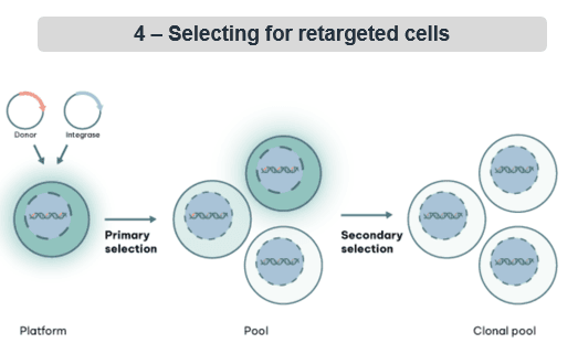selecting for retargeted cells.png