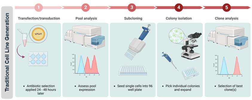 traditional cell line generation.png