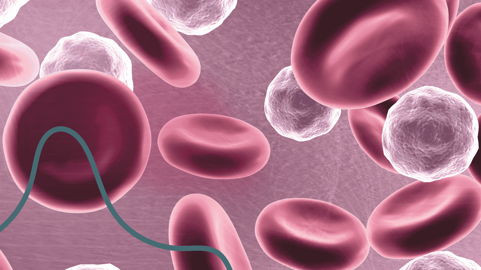 whole blood assays 